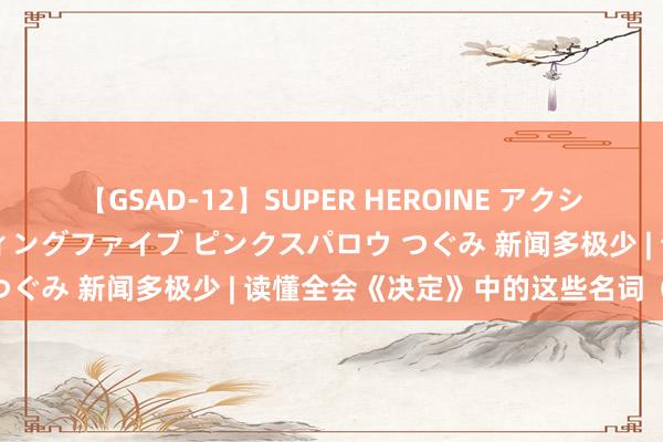 【GSAD-12】SUPER HEROINE アクションウォーズ 超翼戦隊ウィングファイブ ピンクスパロウ つぐみ 新闻多极少 | 读懂全会《决定》中的这些名词（四）