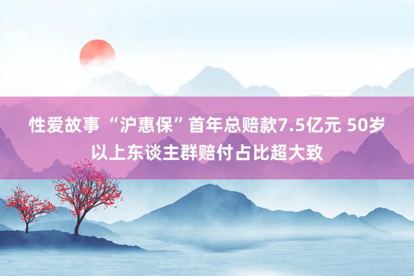 性爱故事 “沪惠保”首年总赔款7.5亿元 50岁以上东谈主群赔付占比超大致