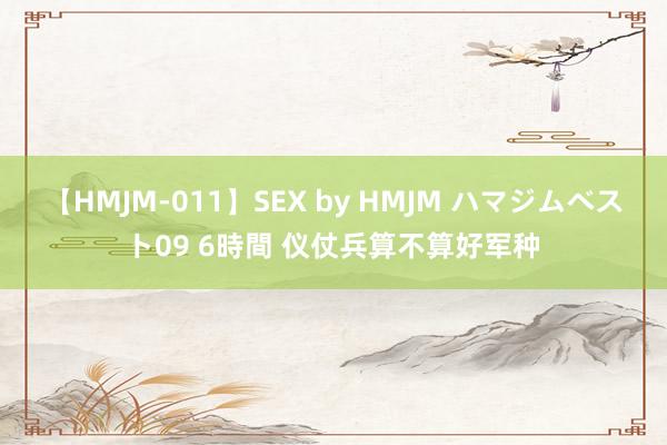 【HMJM-011】SEX by HMJM ハマジムベスト09 6時間 仪仗兵算不算好军种