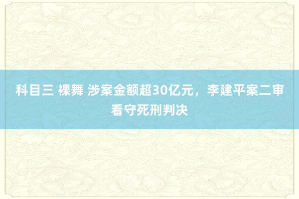 科目三 裸舞 涉案金额超30亿元，李建平案二审看守死刑判决